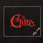 THE CRIBS share new single ‘Never The Same’ | New album ‘Selling A Vibe’ out January 9th